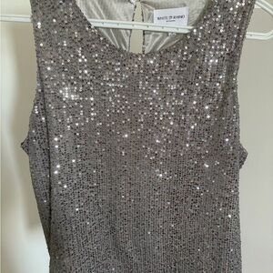 Silver metallic sequin Top